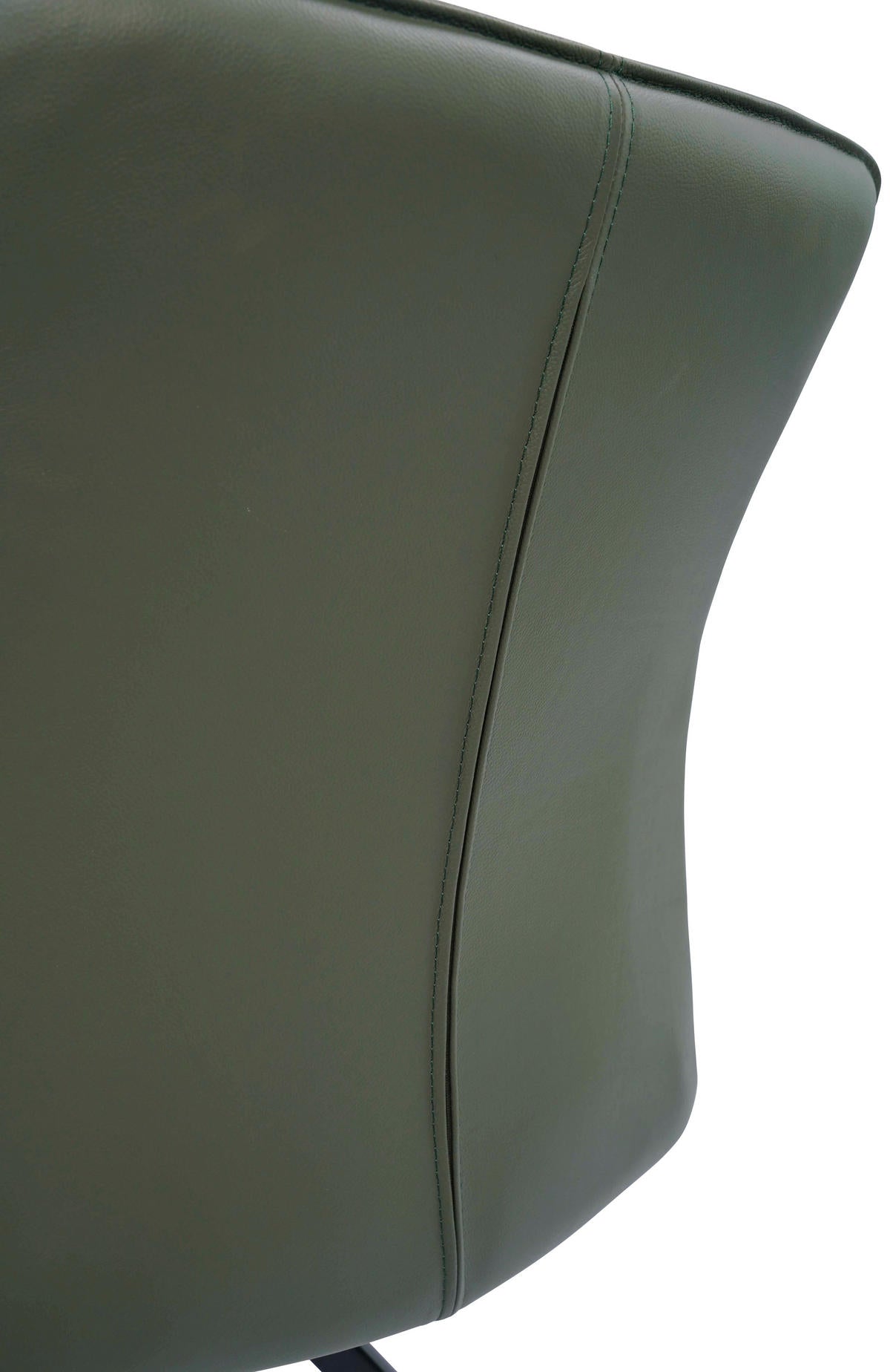 FOTOLIU ROTATIV DIN PIELE VERDE