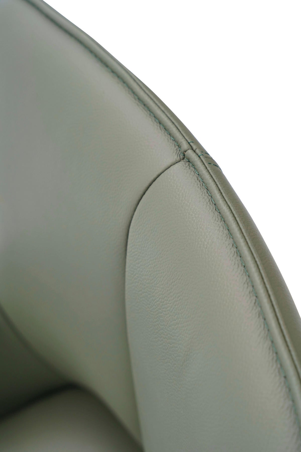 FOTOLIU ROTATIV DIN PIELE VERDE