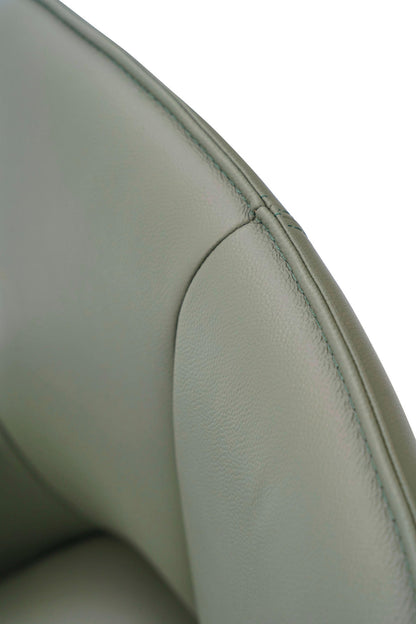 FOTOLIU ROTATIV DIN PIELE VERDE